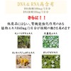核酸EX DNA RNA 180粒