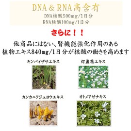核酸EX DNA RNA 180粒