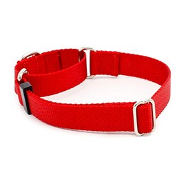 Dog Collar - 1 Inch Width Martingale Collar - Heavy Duty Nylon (1" Width Dog Collars (Red, Large)