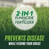 Scotts Turf Builder Healthy Plus Lawn Food, 2-in-1 Fungicide and