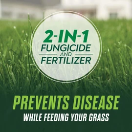 Scotts Turf Builder Healthy Plus Lawn Food, 2-in-1 Fungicide and Fertilizer, Helps Grass Withstand Summer Stress, 8,000 sq. ft., 27.40 lbs.