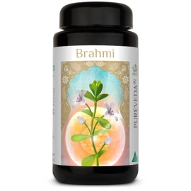 Pureveda Brahmi - from wild collection - daily dose | Brahmi [500 mg] contains bacoside [20%] | no additives - from BIOTIKON®
