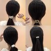 HAPVITAL Chou Chou Chiffon Scrunchie Stylish Adult Hair Rope Hair