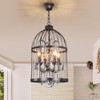 LUOLAX Industrial Vintage Lighting Fixture Black Finish Metal Birdcage Crystal