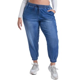 YMI Jeans Women's Plus Essential Skinny Jeans, M Medium Blue Rips, 3X