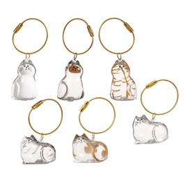 6Pcs Cat fur Keepsake Keyring,Cat Hair Storage Bottle,Cat Hair Keychain Keepsake Capsule Pendant,Pet Hair Storage Bottle,Pet Memorial Keychain,Cat Lover Collecting Gift