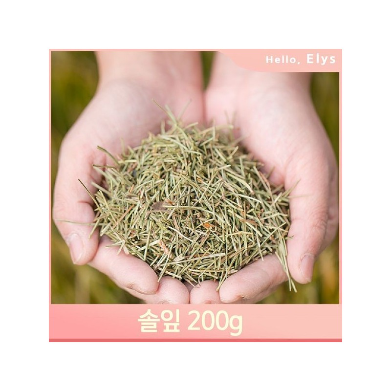 한방 소나무 잎사귀 200g 솔잎 침출차 건조 약재 영양 Herbal
