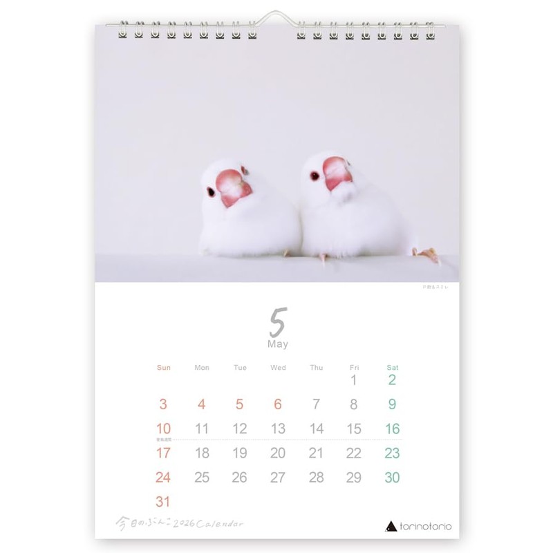 Today's Bunko Calendar A4 Wall-hanging Type 2026 Starting in January