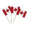 100 Pcs Canada Flag Canadian Toothpick Flags, Small Mini Stick