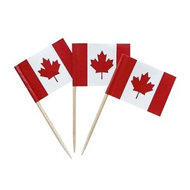 100 Pcs Canada Flag Canadian Toothpick Flags, Small Mini Stick Cupcake Toppers Canadian Flags Cocktail Picks