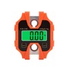250kg Portable Hand Electronic Scale LCD Display with Backlight kg