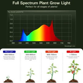 EVERYGROW Outdoor Grow Lights with Timer, Full Spectrum Greenhouse Grow Lights with Timer, IP65 Waterproof String Grow Light Outdoor, UL Certified Daisy Chain LED Grow Light, 41FT