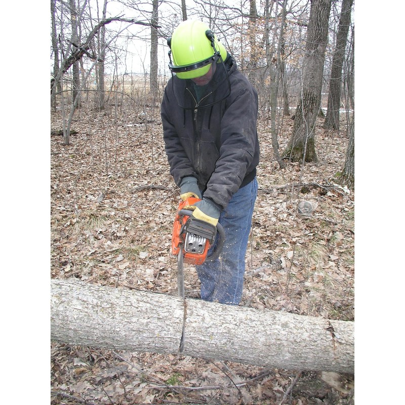 Timber Tuff TMW-09 Loggers Helmet Green