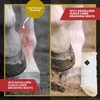 Kavallerie Dressage Horse Boots: Fleece-Lined Faux Leather Brushing Boots for