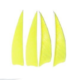 Milaem Pack of 50 3 Inch Arrow Feathers Arrow Fletches Archery Feathers Natural Feather Feathers for Hunting Arrows Right Wings (Light Yellow)