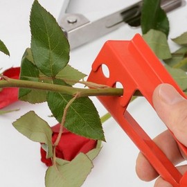 Roses, floral foam, thorn remover, flower arrangement materials, Floral Decoration Technician practical exam, flower supplies / 장미 플로랄폼 가시 원예용품 제거기 꽃꽂이 재료 화훼장식기능사 실기 꽃자재용품