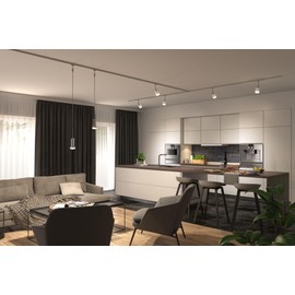 Paulmann 29047 Standard 230V LED Reflector R50 230V Pack of 1 4W 300lm Silver Glass 2700K - Warm White E14