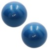 AB Tools Soft Weighted Toning Balls 2 x 0.5kg For