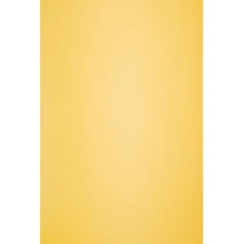 Netuno 50 Sheets of Craft Paper Mustard Coloured DIN A4 210 x 297 mm 80 g Circolor Saffron Coloured Paper A4 Recycled Paper Coloured Drawing Paper for Crafts Colourful Paper Printable Writing Paper