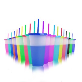EXITOGLOBAL 19pcs 24oz Color Changing Cups with Lids and Straws, Color Changing Tumbler, Reusable Cups with Lids in Multicolors Perfect for Cold Drinks, Cold Coffee, Smoothie etc