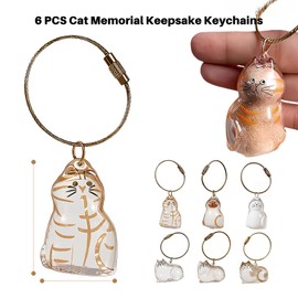 laveroar 6-Pack Cat Memorial Keepsake Keychains – Transparent Capsules for Lock of Hair – Cute Cat Memorial Gifts for Pet Lovers, Bags & Keys
