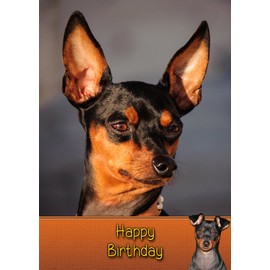 Miniature Pinscher Dog Birthday Card