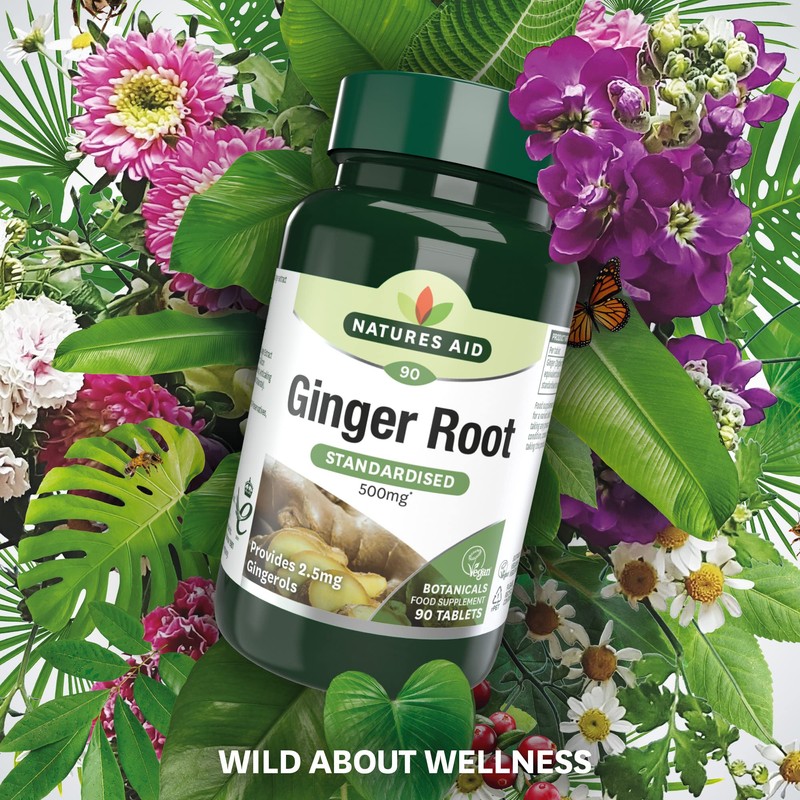 Natures Aid Ginger Root 500 mg 90 Tablets (Botanical Supplement,