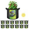 YSSOA Grow Bags 12 Pack 1 Gallon 300G Reusable Breathable Gardening Pots with Handles Non-Woven Fabric Plant Bags, Heavy Duty Planting Bags for Grow Tent Hydroponic & Outdoor Vegetables Tomatoes