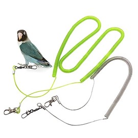 Hohopeti Parrot Training Rope Kit Bite Durable Leash for Agapornis Fischeri for Flying and Training Bite Wire Comfortable Fit for Birds Random Color