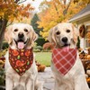 Agroon Thanksgiving Dog Bandanas Small 3PCS, 6 Pattern Fall Scarf