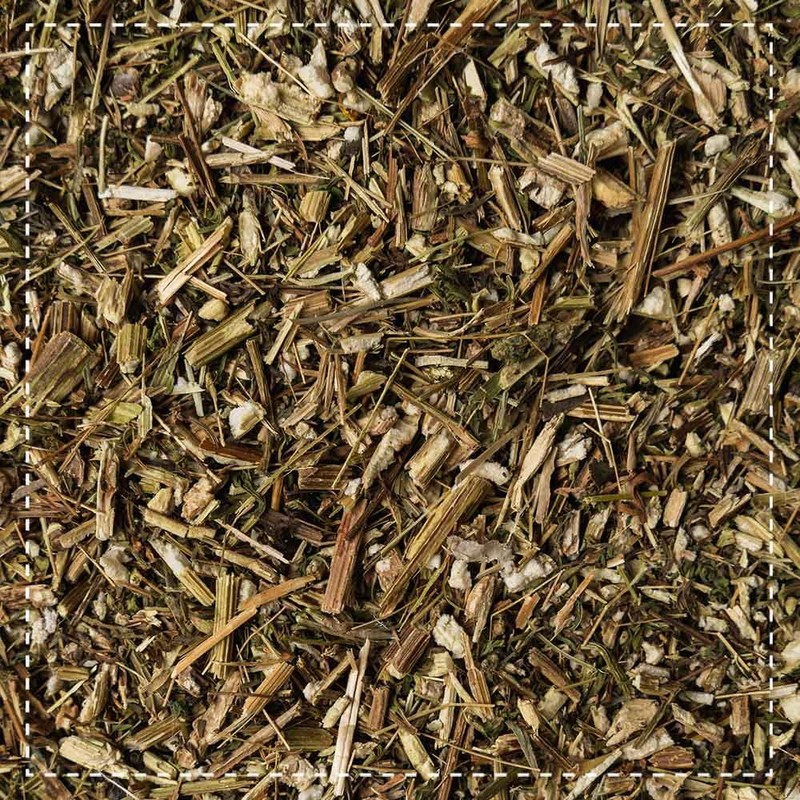 Annual Mugwort Herb Organic 125 g – Hand-read – Artemisiae