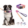 Petilet Dog Leash & Collar, Dog Collar Leash for Small,