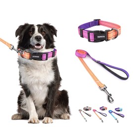 Petilet Dog Leash & Collar, Dog Collar Leash for Small, Medium and Large Dogs, Stylish, Adjustable Collar, Reflective, Stretchable, Harness, Lightweight, Breathable, Training, Walking, Running, Pet