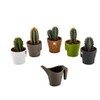 Magnetic Planter Pots Set of 5 with Mini Watering Can