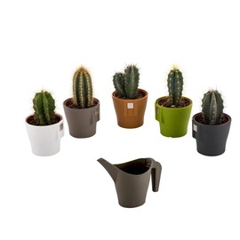 Magnetic Planter Pots Set of 5 with Mini Watering Can - Indoor Succulent, Flower, and Herb Planters - Small Plastic Plant Pots for Home Decor