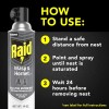 Raid Wasp & Hornet Killer Spray, 14 Oz, 2-Pack –