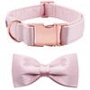 Lionet Paws Dog Collar with Bow Tie - Comfortable Silk