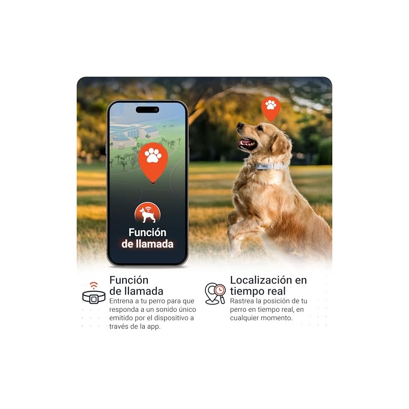 PAJ Localizador GPS Perros 4G - Incl. 3 Meses de