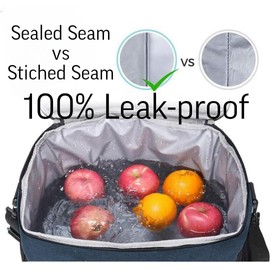 HZEX 25L Travel Cooler Lunch Backpack, Insulated Lunch Box with Ice Pack, Can Backpack, Beach Cooler, Leakproof, Lightweight for Hiking, Beach, Camping (Blue)