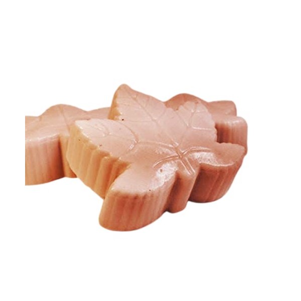 Pumpkin Spice Scented - 2 pc Large Leaf Shape Shea