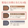 Eyebrow Powder Powder Brow 21 Dark Brown Refill (Eyebrow Eyebrow