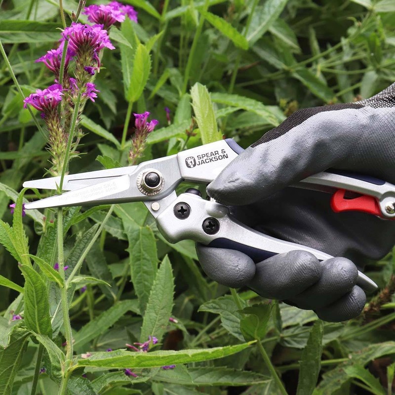 Spear & Jackson 56522 Epinette frottantes Blade 17 cm