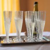 AIOS Use-Reuse-Recycle Plastic Prosecco/Champagne Flutes. Capacity160ml (Pack of 10)