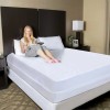 The Elysian Threads Mattress Protector Encasement Bedbug Cover Only Twin