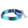Dazzber Martingale Dog Collars Colourful Oil Painting Pattern Series -