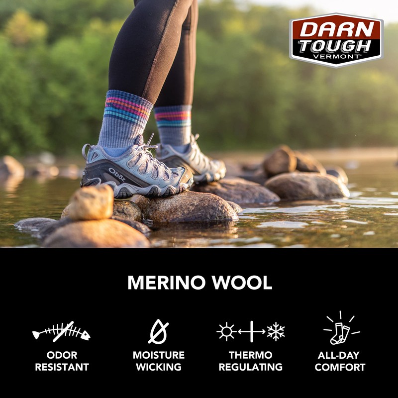 Darn Tough Women's Micro Crew Lite Cushion Socks