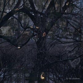 ...By the Shadows... (Digipak)