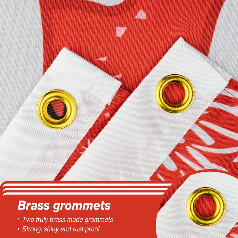 XIFAN Christmas Flag Double Sided 3x5 FT Outdoor, Large Merry