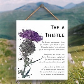 Global Designs Tae A Thistle Scottish Flower Watercolour Effect Illustration Wooden Heart Hanging Plaque
