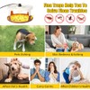4Pack Upgraded Flea Traps for Inside Your Home - Indoor